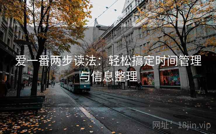 爱一番两步读法：轻松搞定时间管理与信息整理