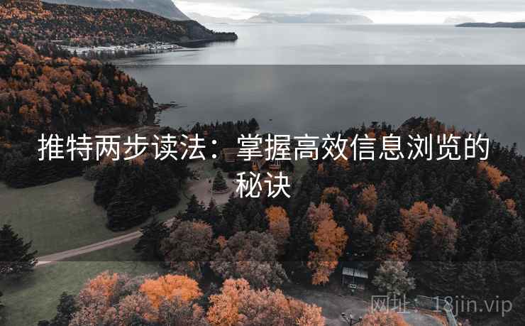 推特两步读法：掌握高效信息浏览的秘诀