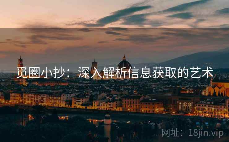 觅圈小抄：深入解析信息获取的艺术