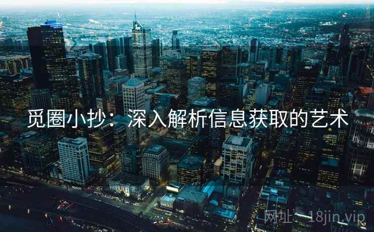 觅圈小抄：深入解析信息获取的艺术